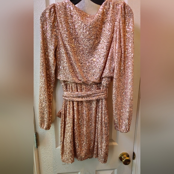 Crystal Sky Champagne Color Sequins Mini Dress - Size XS - Picture 3 of 8